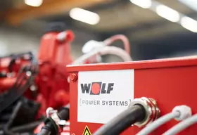wolf