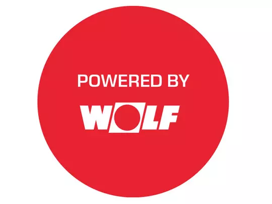 wolf wolf